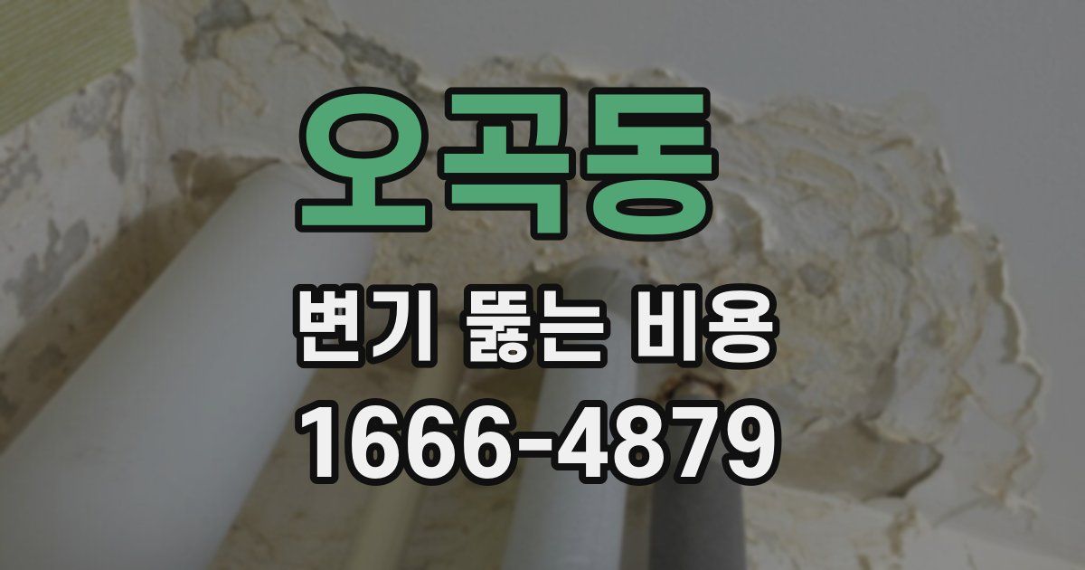 오곡동 변기 뚫는 비용