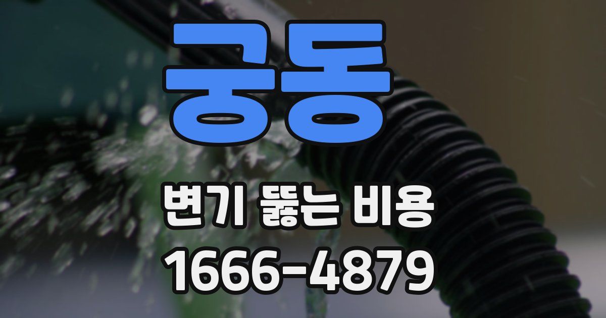 궁동 변기 뚫는 비용