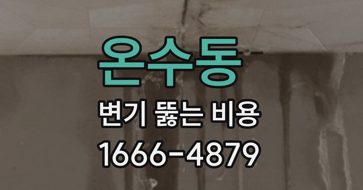 온수동 변기 뚫는 비용