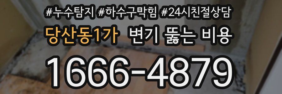 당산동1가 변기 뚫는 비용