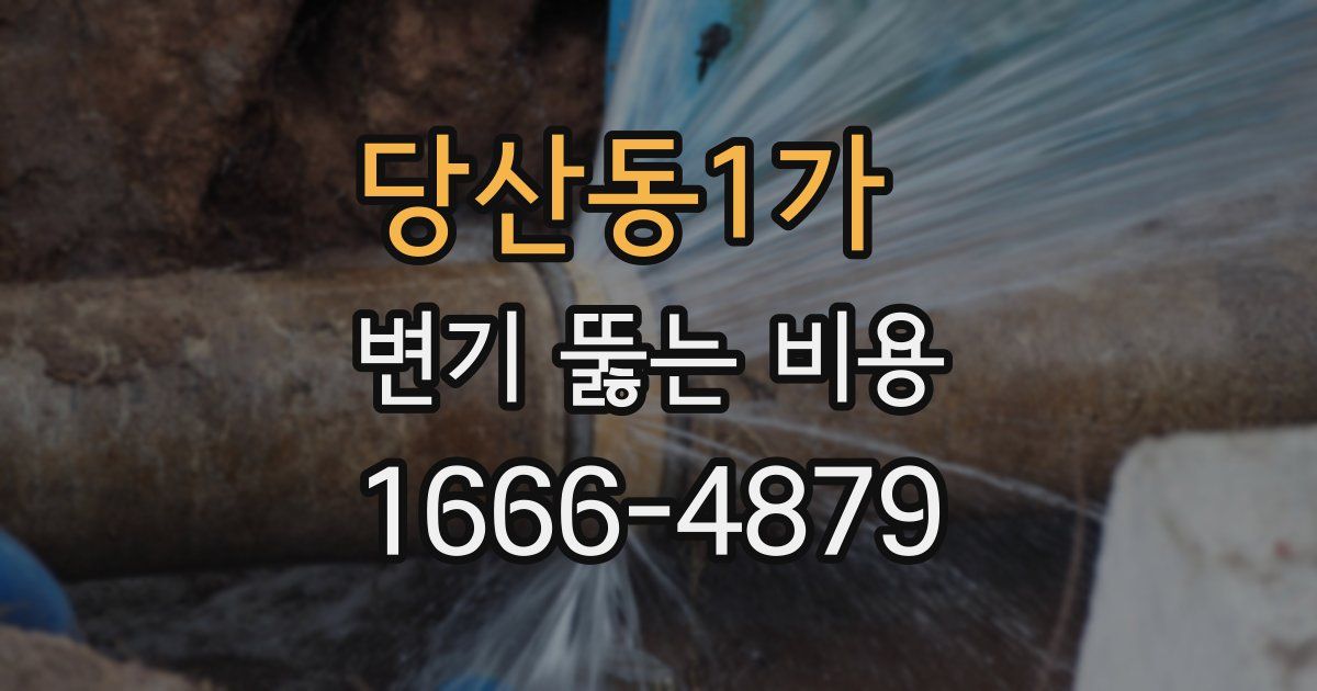 당산동1가 변기 뚫는 비용
