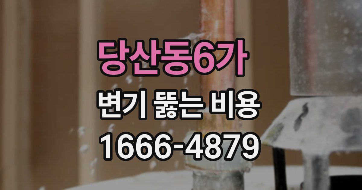 당산동6가 변기 뚫는 비용