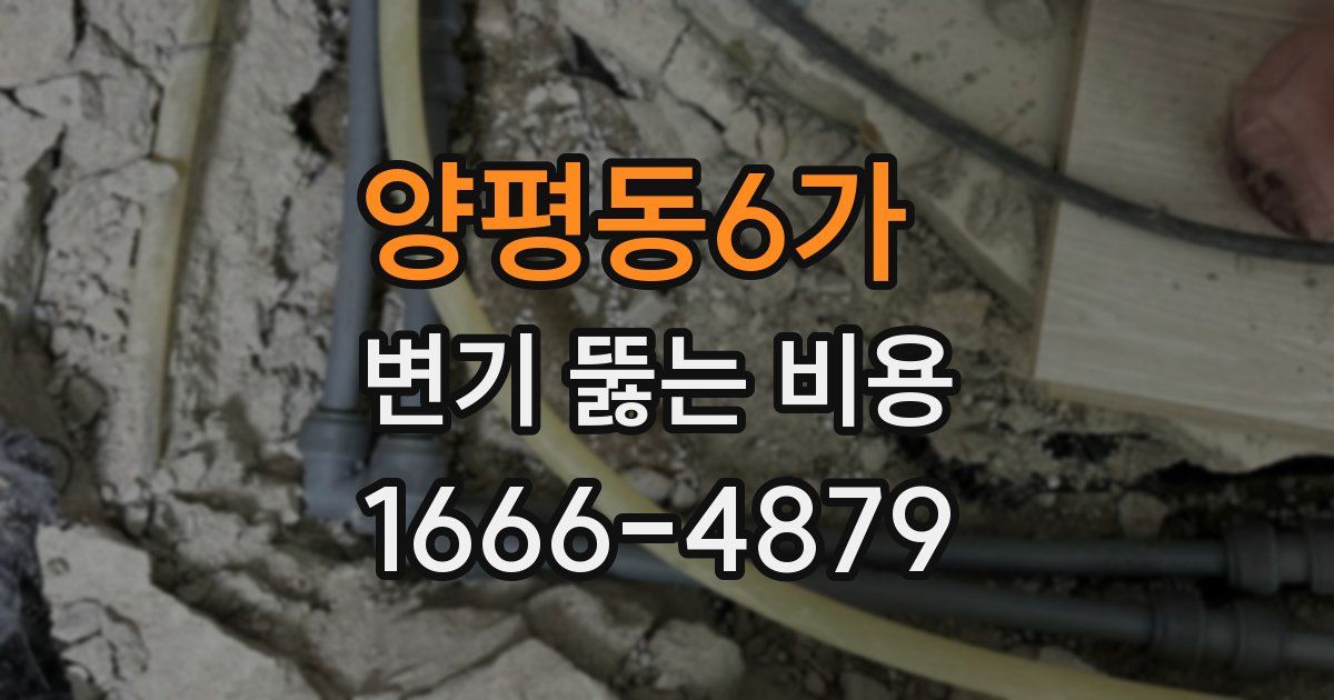 양평동6가 변기 뚫는 비용