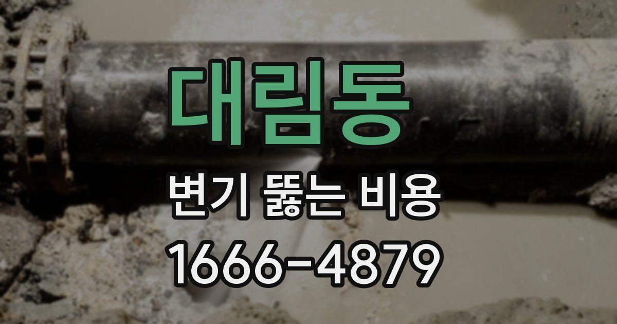 대림동 변기 뚫는 비용