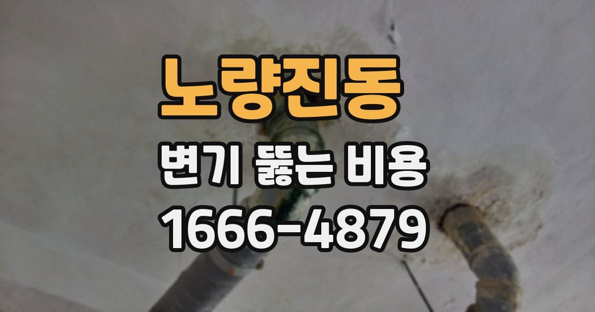 노량진동 변기 뚫는 비용
