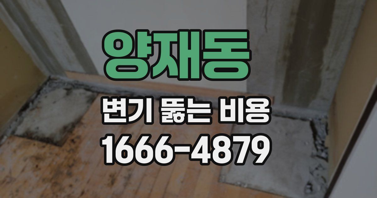 양재동 변기 뚫는 비용