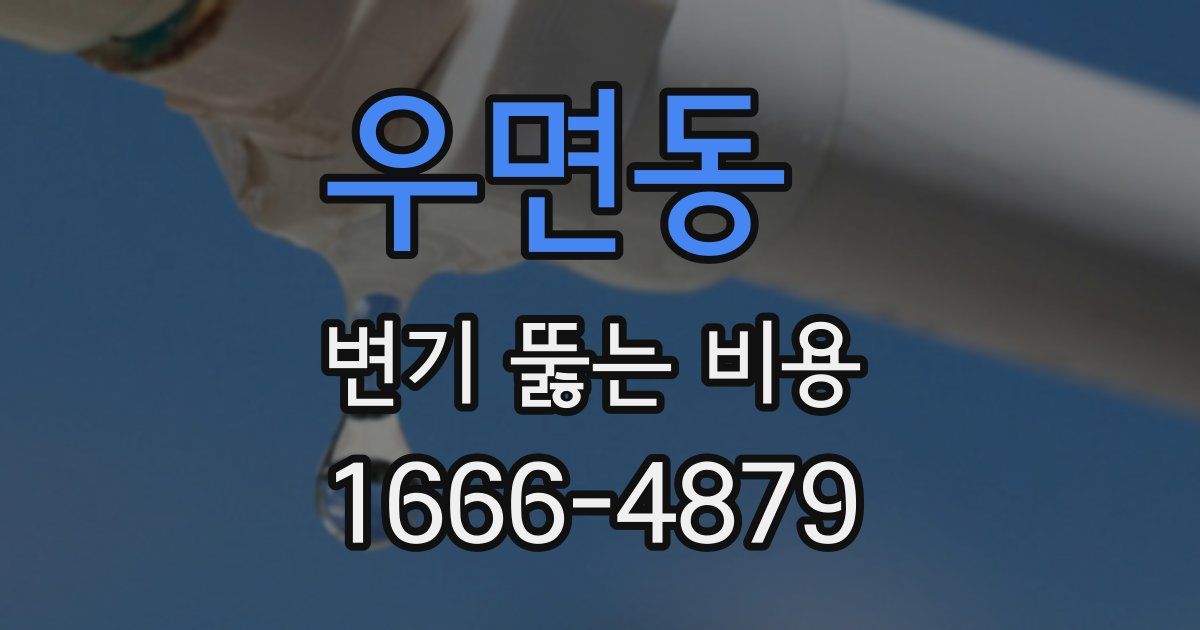 우면동 변기 뚫는 비용