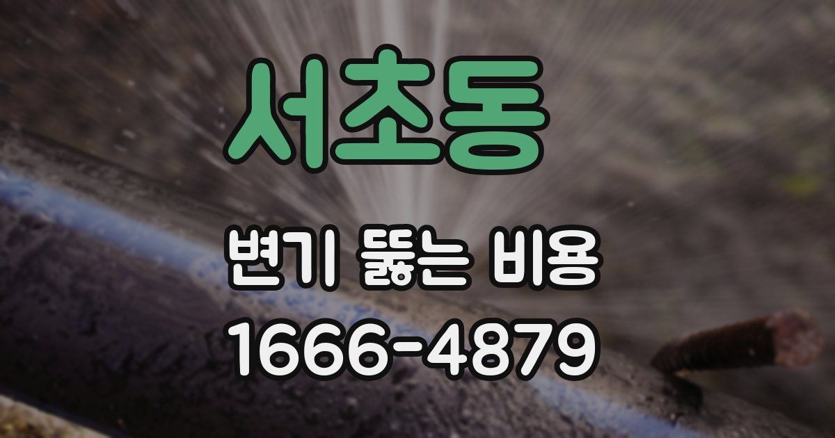 서초동 변기 뚫는 비용