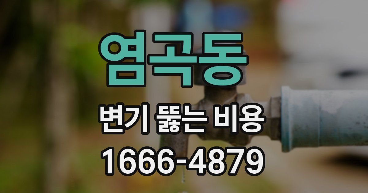 염곡동 변기 뚫는 비용