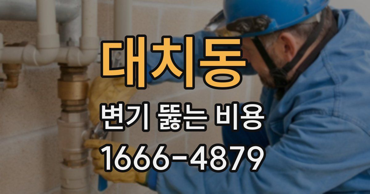 대치동 변기 뚫는 비용