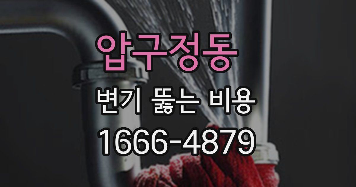 압구정동 변기 뚫는 비용
