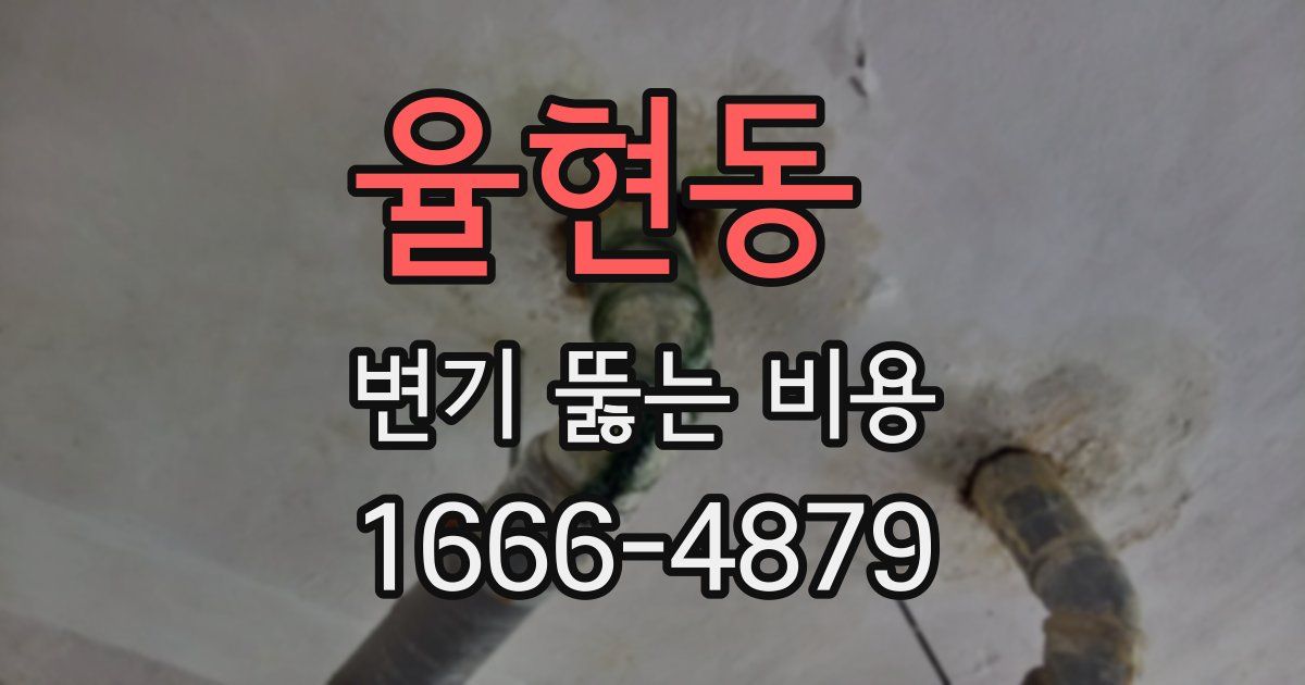 율현동 변기 뚫는 비용