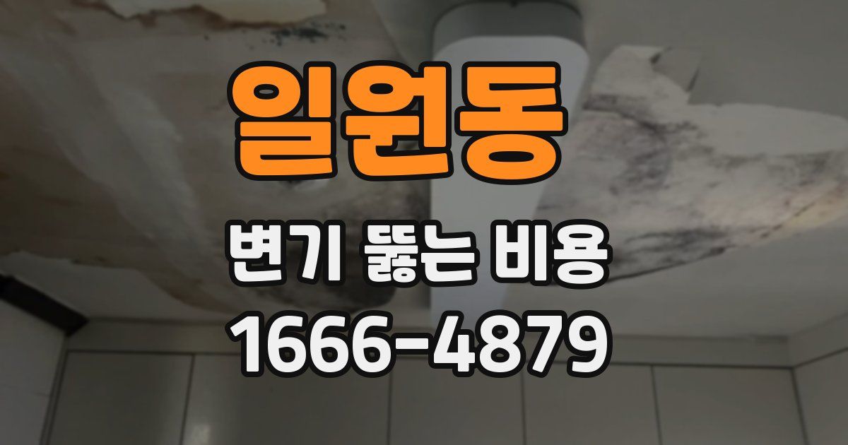 일원동 변기 뚫는 비용