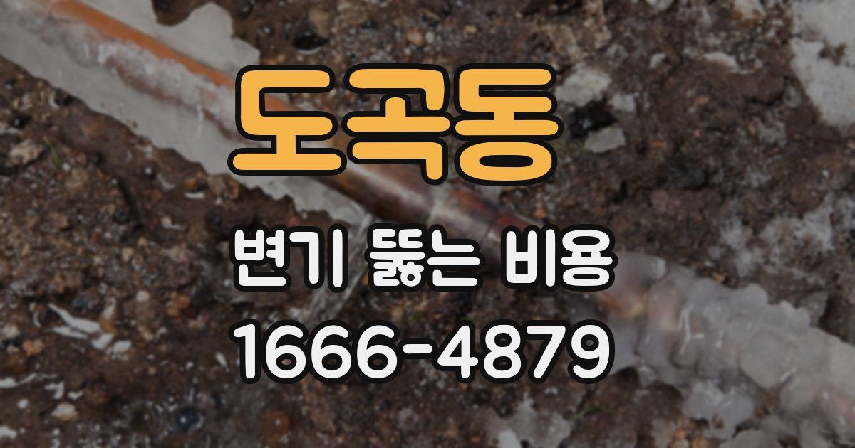 도곡동 변기 뚫는 비용