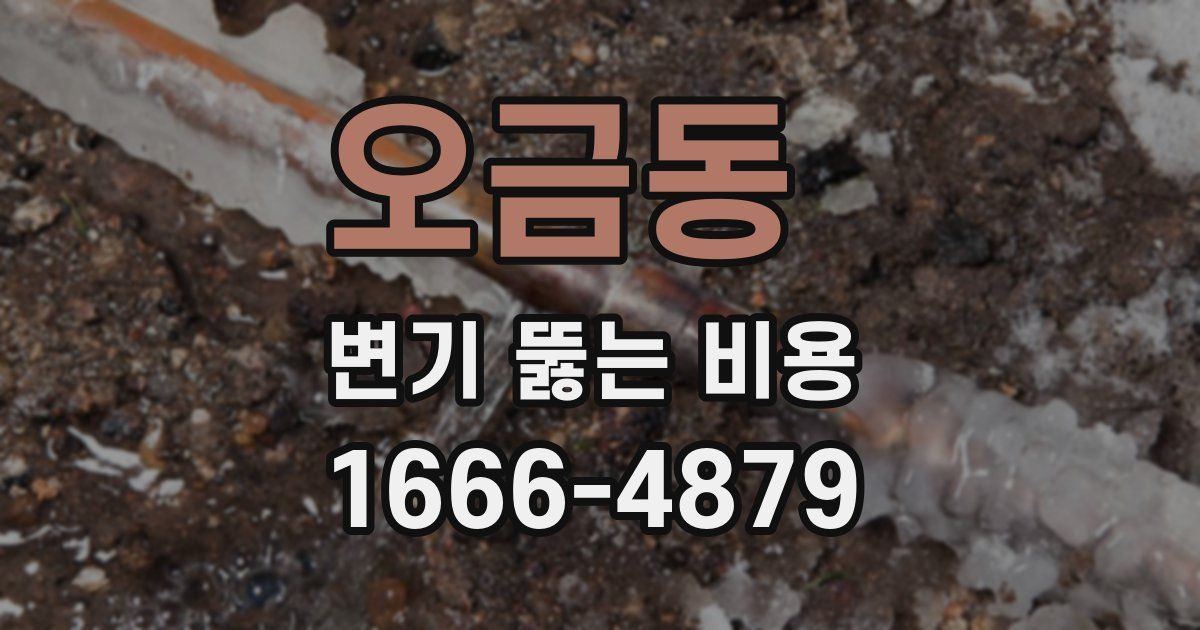 오금동 변기 뚫는 비용