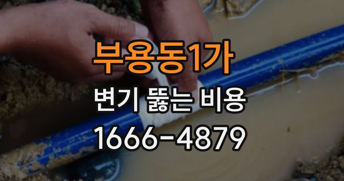 부용동1가 변기 뚫는 비용