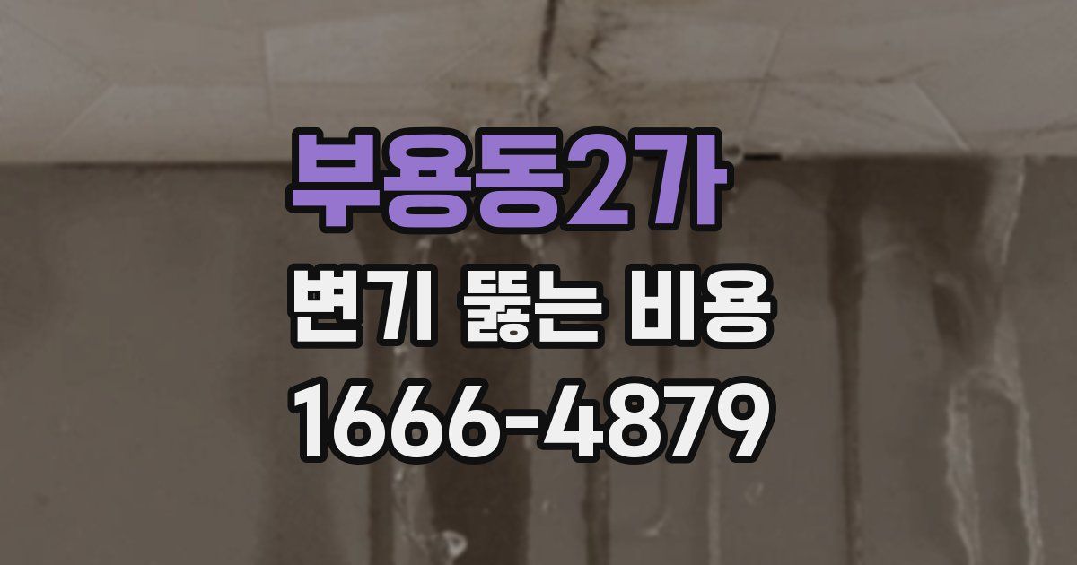 부용동2가 변기 뚫는 비용