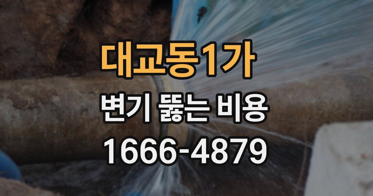 대교동1가 변기 뚫는 비용