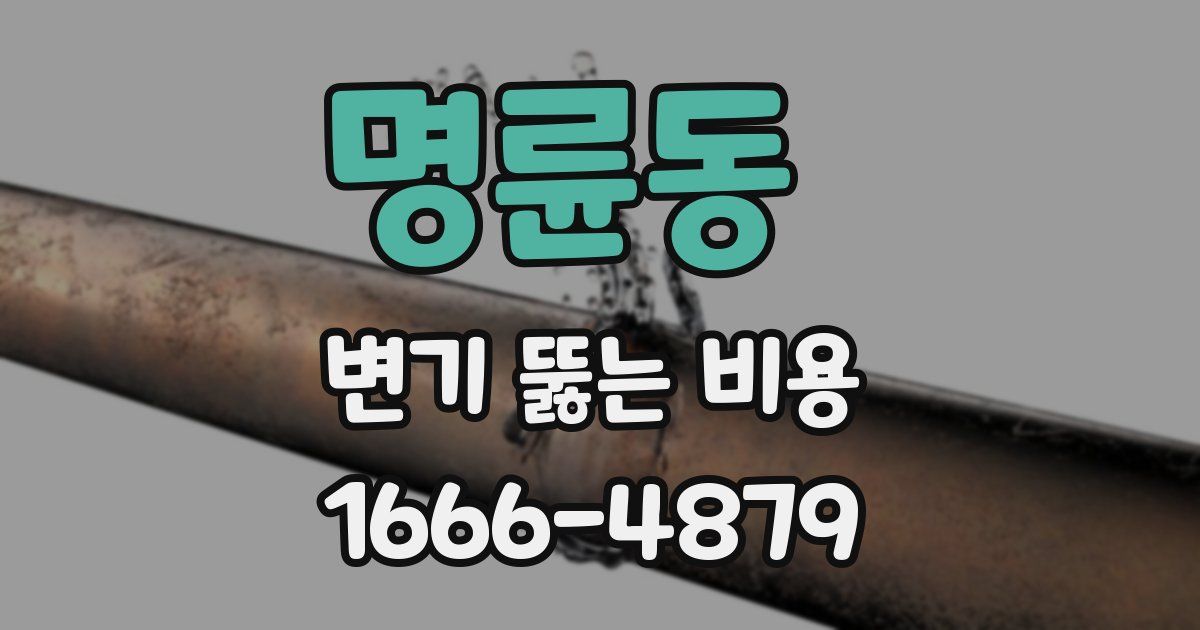 명륜동 변기 뚫는 비용