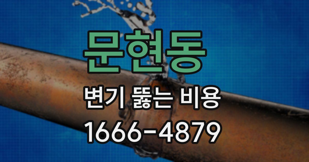 문현동 변기 뚫는 비용