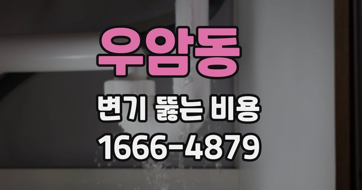 우암동 변기 뚫는 비용