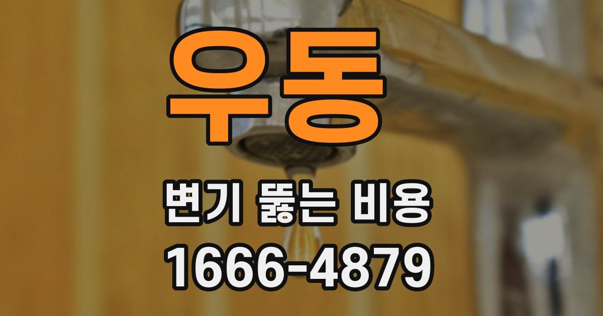 우동 변기 뚫는 비용