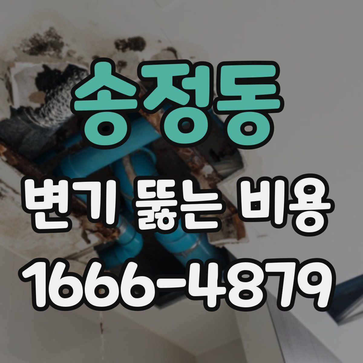 송정동 변기 뚫는 비용