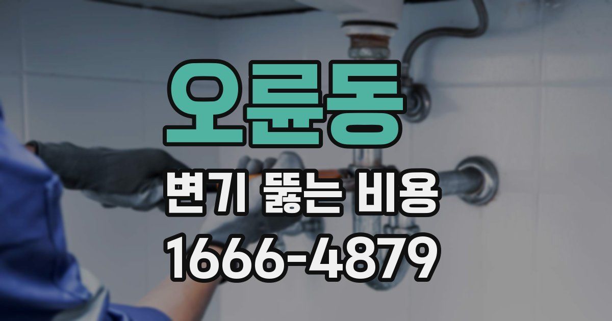 오륜동 변기 뚫는 비용