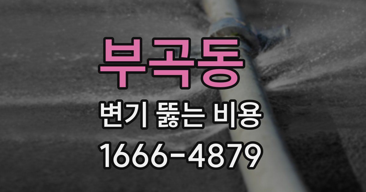 부곡동 변기 뚫는 비용