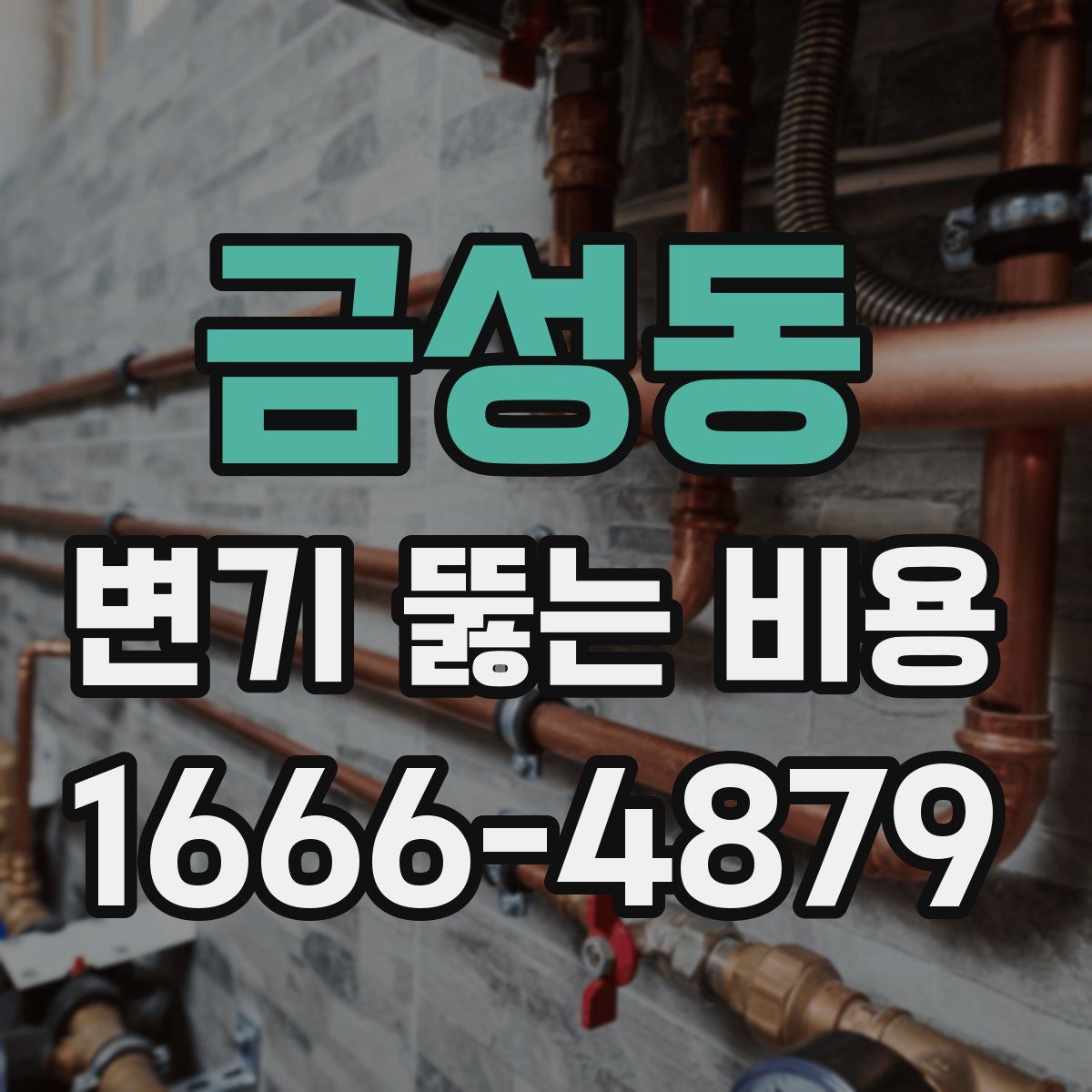금성동 변기 뚫는 비용