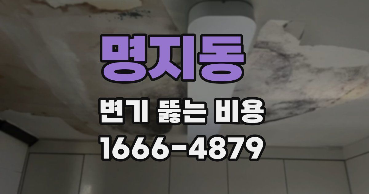 명지동 변기 뚫는 비용