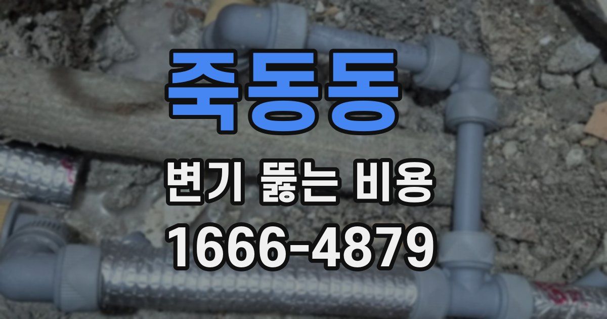 죽동동 변기 뚫는 비용