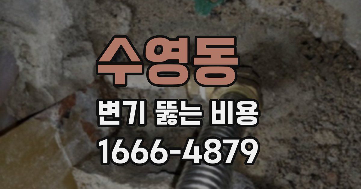 수영동 변기 뚫는 비용