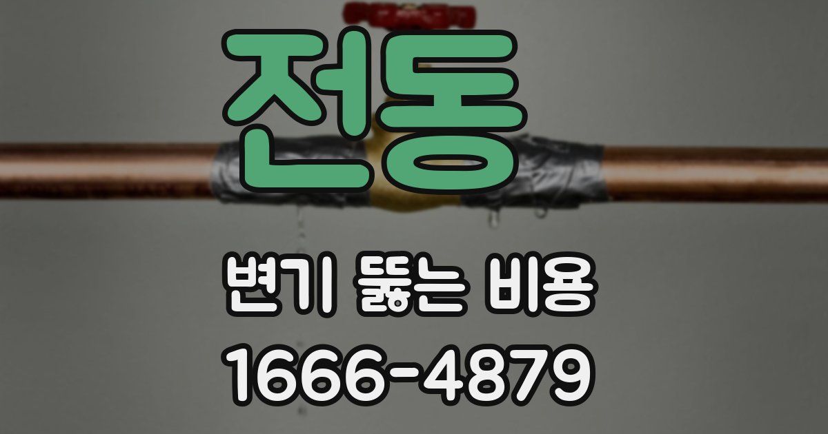 전동 변기 뚫는 비용