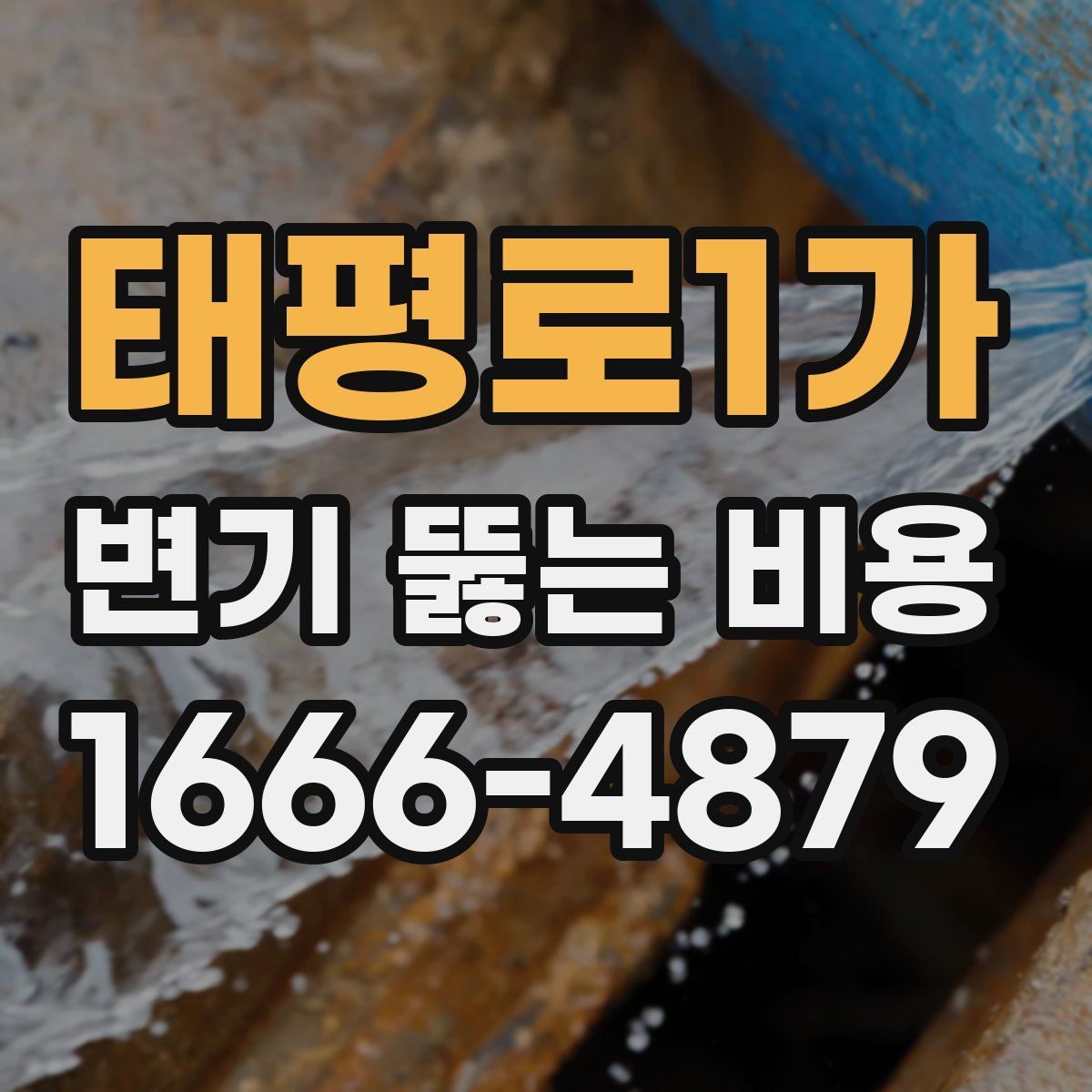 태평로1가 변기 뚫는 비용