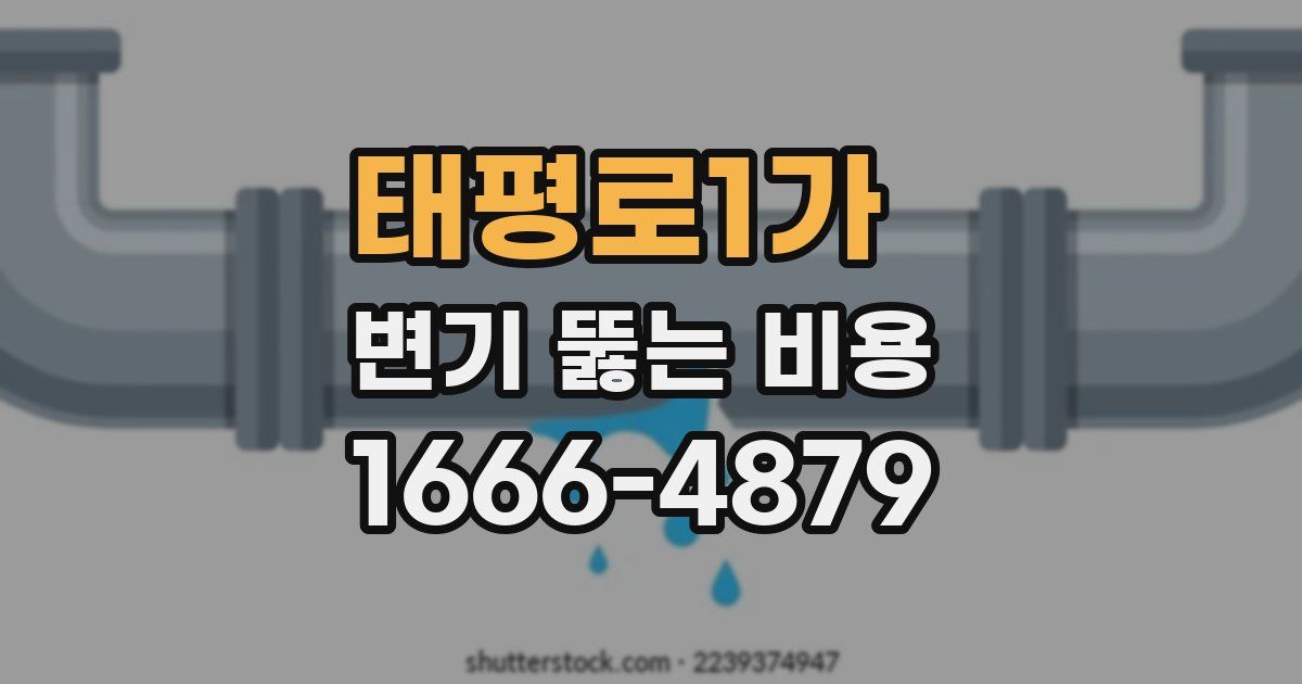 태평로1가 변기 뚫는 비용