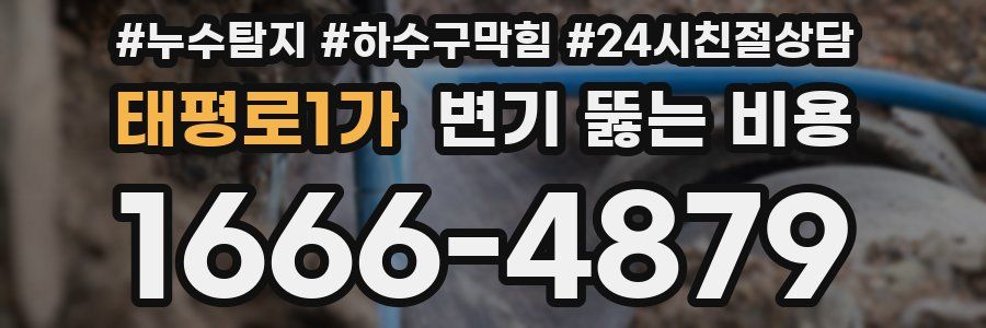 태평로1가 변기 뚫는 비용