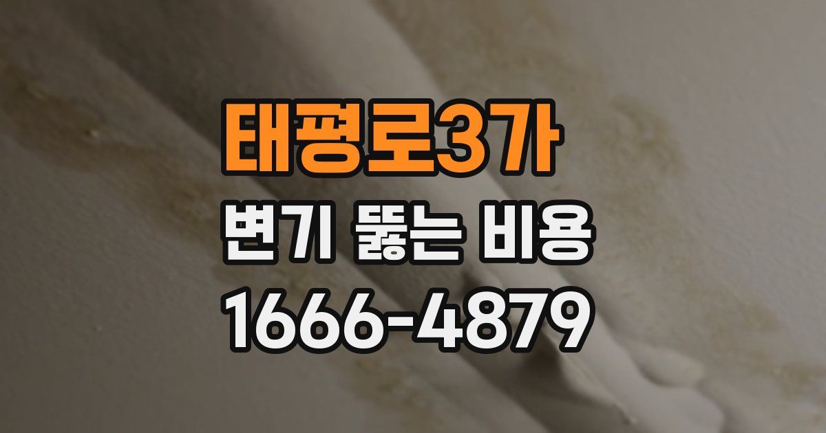 태평로3가 변기 뚫는 비용