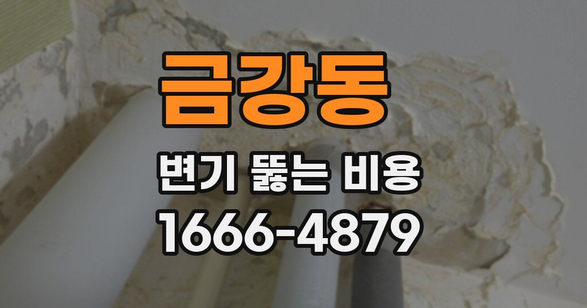 금강동 변기 뚫는 비용