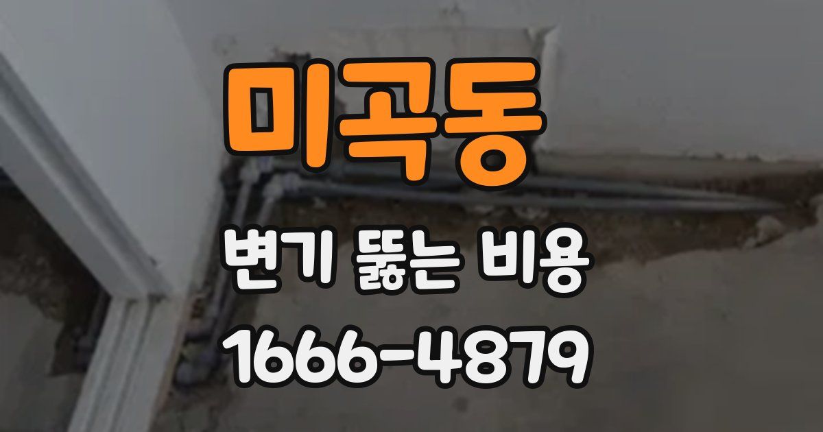 미곡동 변기 뚫는 비용