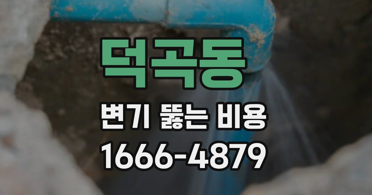 덕곡동 변기 뚫는 비용