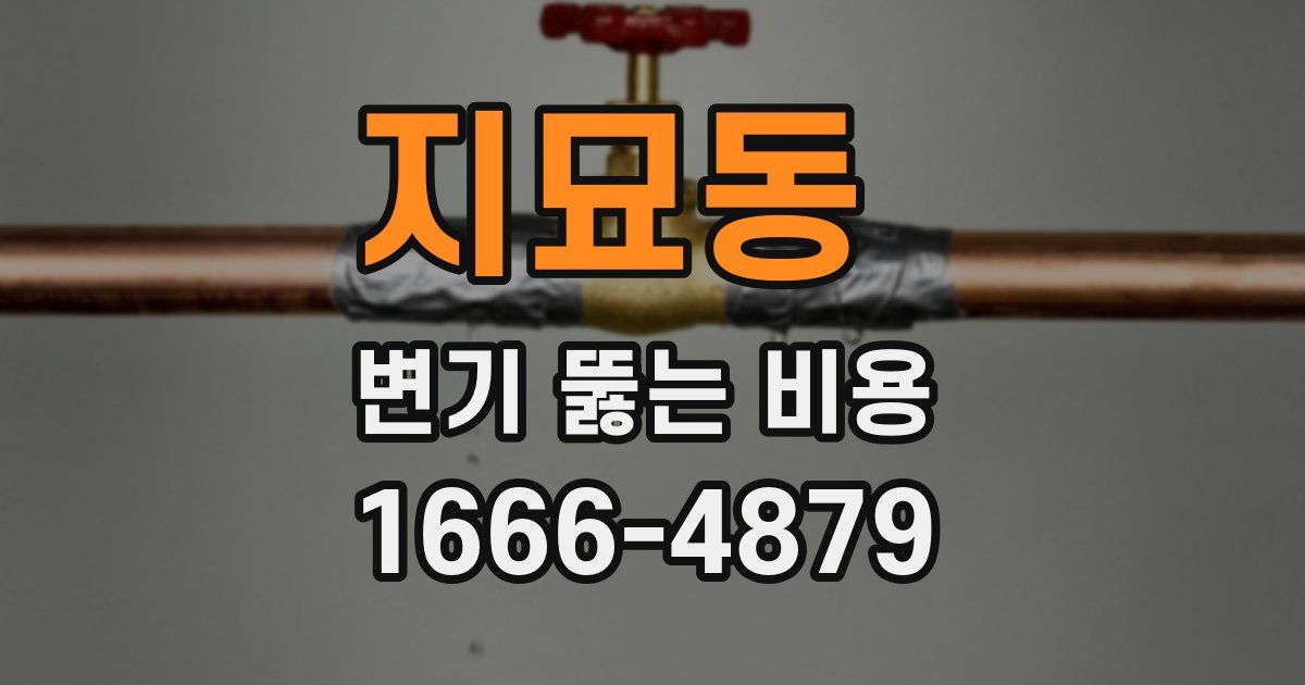 지묘동 변기 뚫는 비용