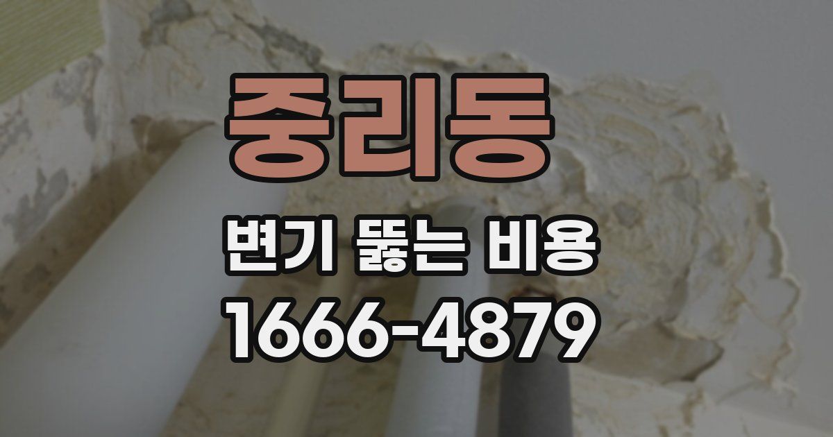중리동 변기 뚫는 비용