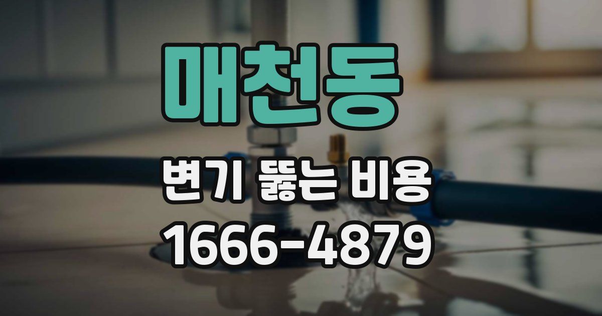 매천동 변기 뚫는 비용