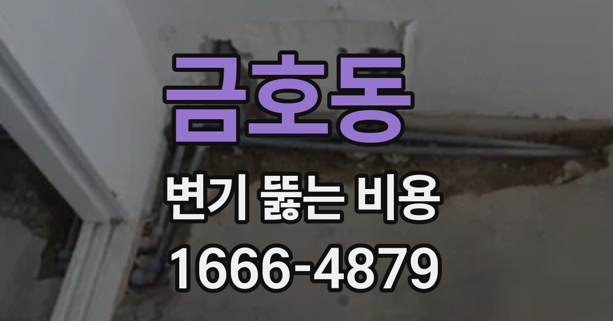 금호동 변기 뚫는 비용