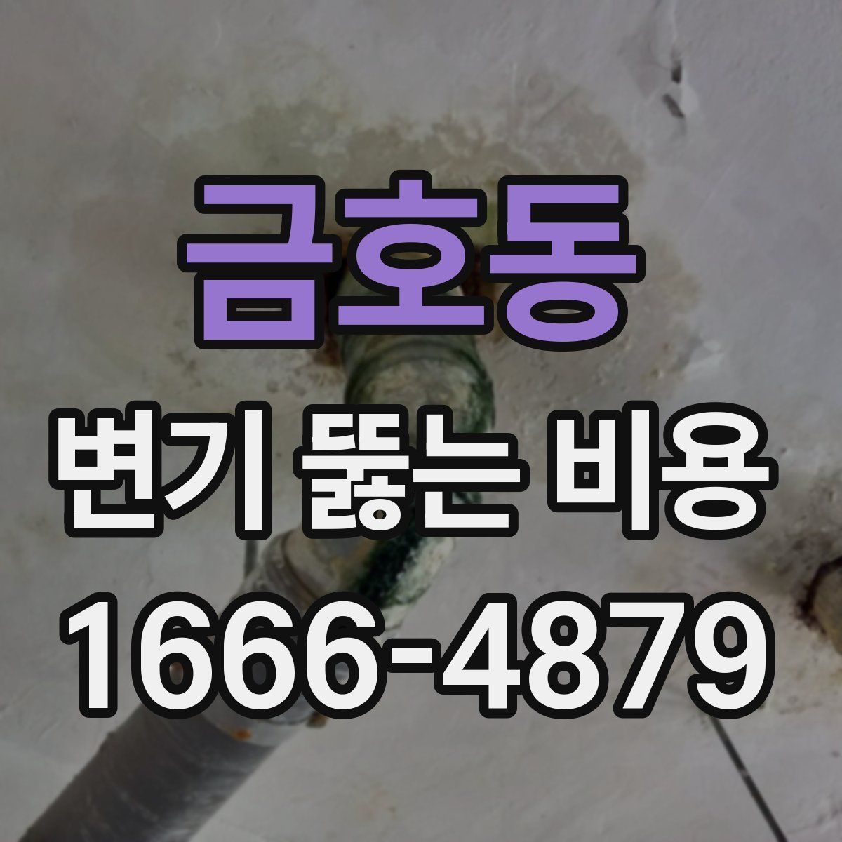 금호동 변기 뚫는 비용