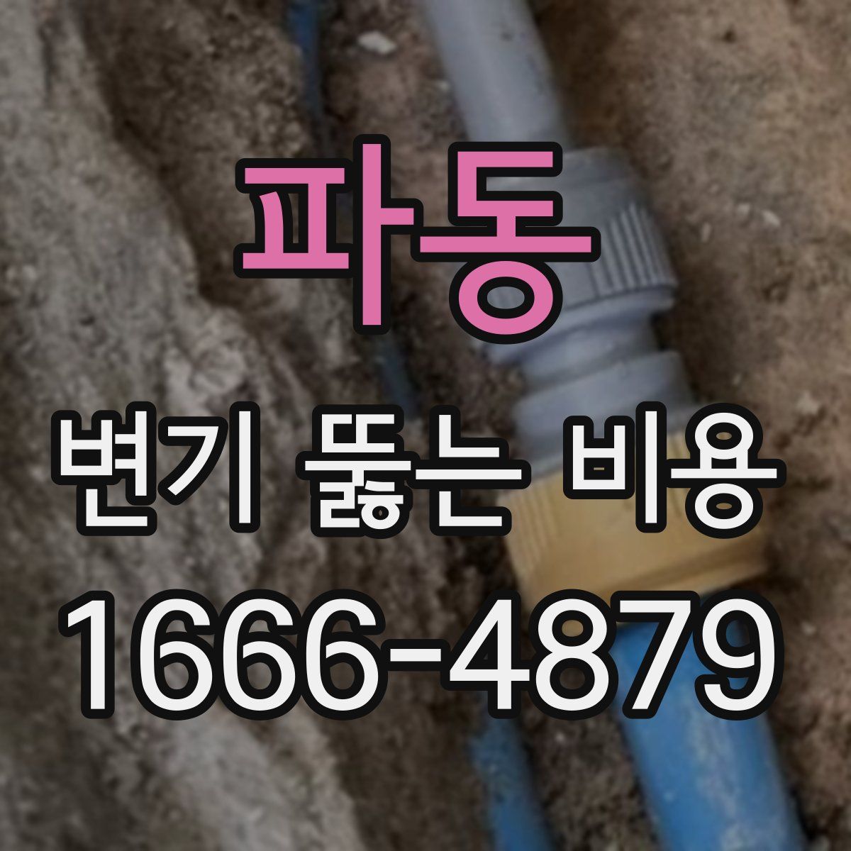 파동 변기 뚫는 비용