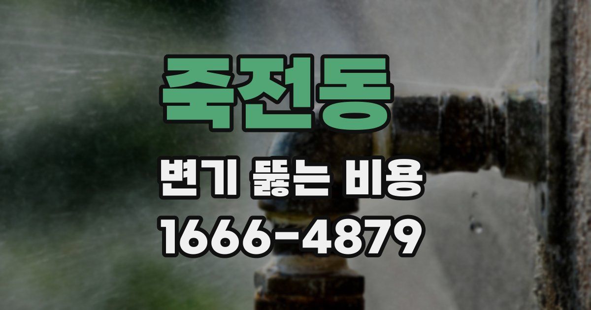 죽전동 변기 뚫는 비용