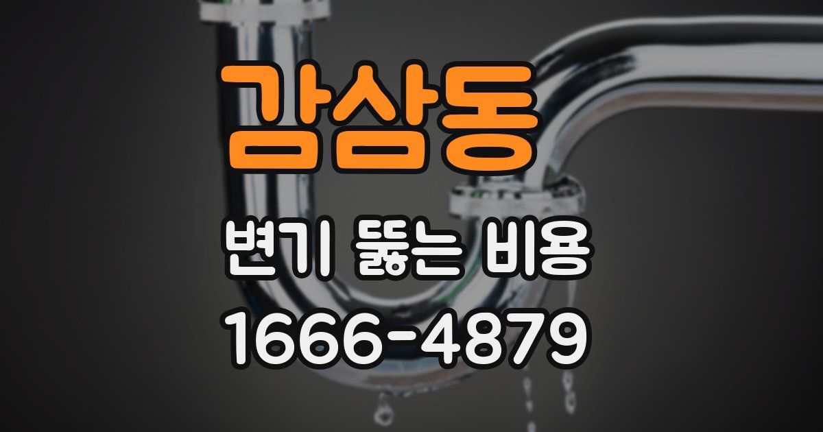 감삼동 변기 뚫는 비용