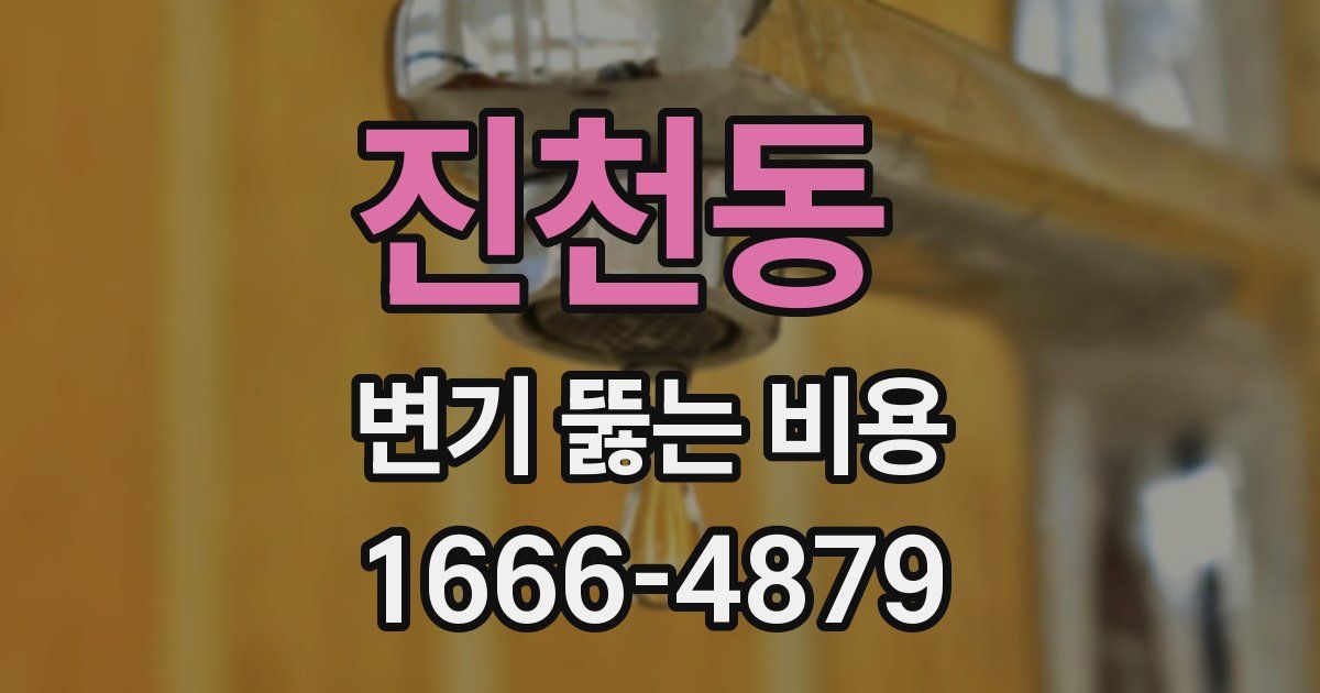 진천동 변기 뚫는 비용